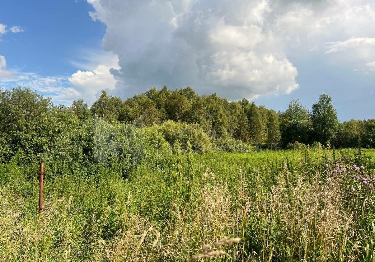 земля г Тюмень ул Приозерная СНТ Аракчино, Нижнетавдинский р-н фото 3