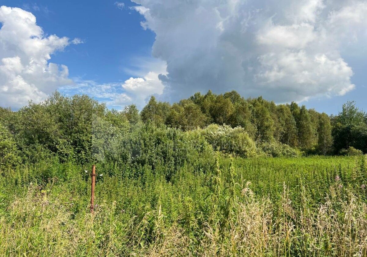 земля г Тюмень ул Приозерная СНТ Аракчино, Нижнетавдинский р-н фото 8