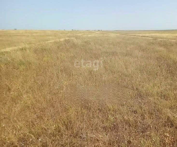 земля р-н Черноморский с Межводное ул Акмечетская фото 3