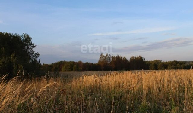 муниципальное образование Пушкиногорье фото