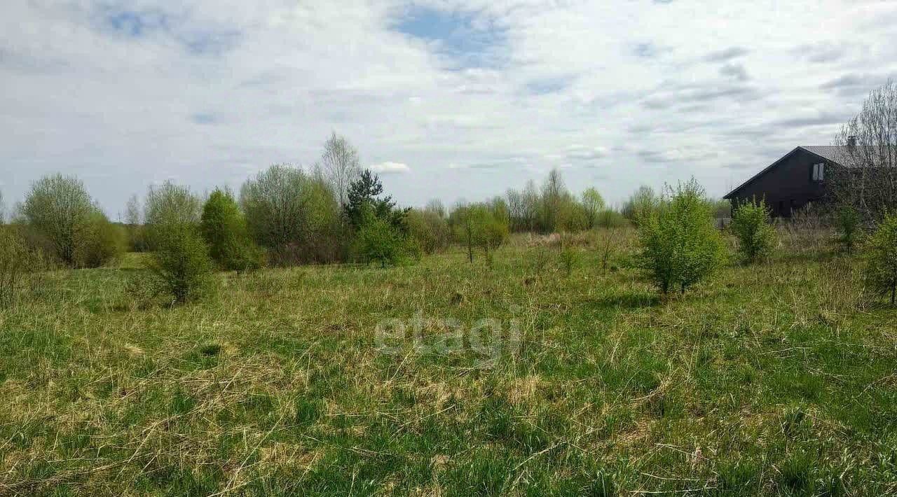 земля р-н Некрасовский д Михалево с пос, Некрасовское фото 4