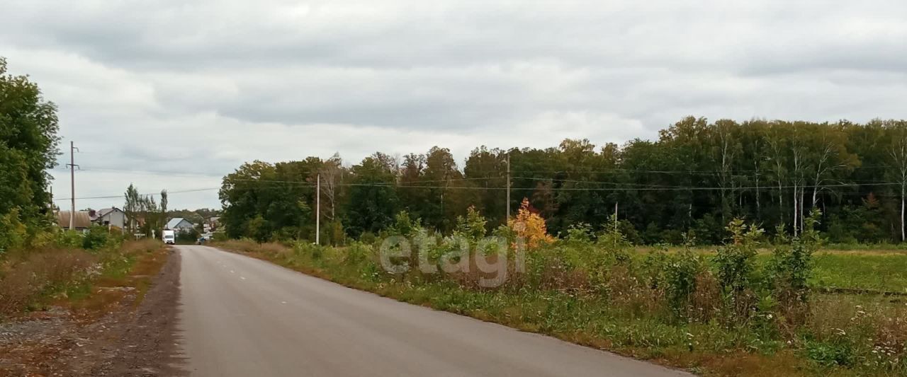 земля р-н Уфимский д Мударисово ул Ягодная сельсовет, Михайловский фото 2