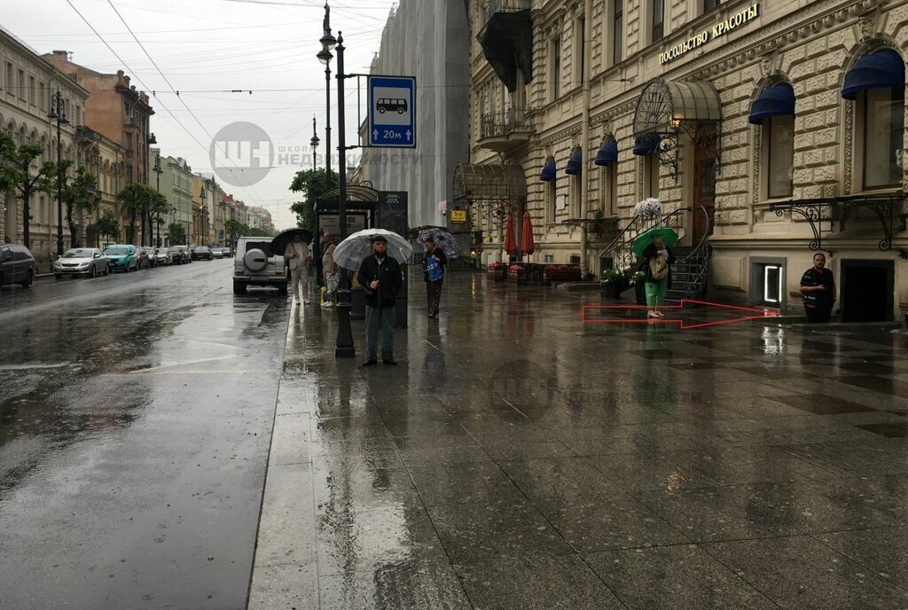 свободного назначения г Санкт-Петербург метро Чернышевская ул Чайковского 38/9 фото 8