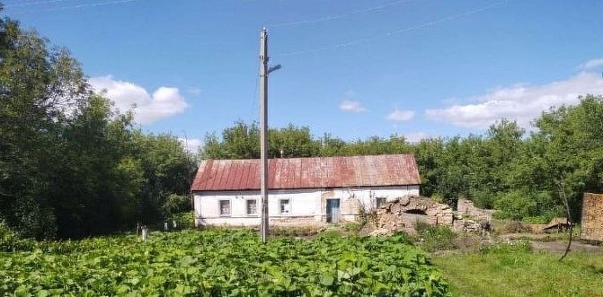 дом р-н Задонский с Донское 1-е ул Центральная Скорняковский сельсовет фото 1