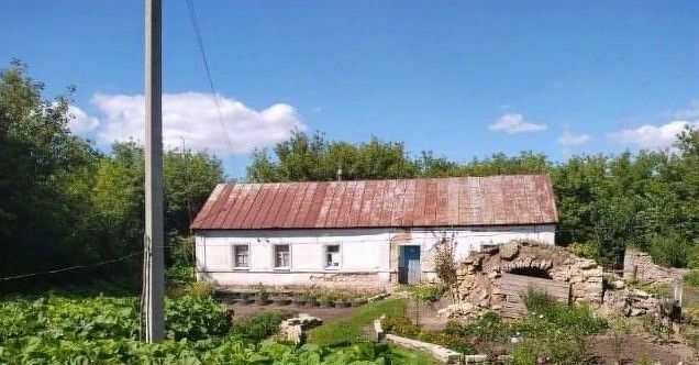 дом р-н Задонский с Донское 1-е ул Центральная Скорняковский сельсовет фото 8