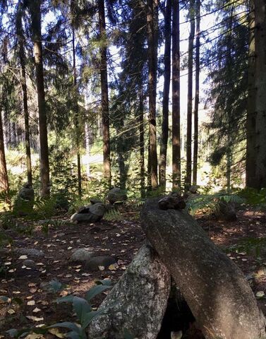 гараж р-н Выборгский п Рощино Рощинское городское поселение, городской пос. Рощино фото