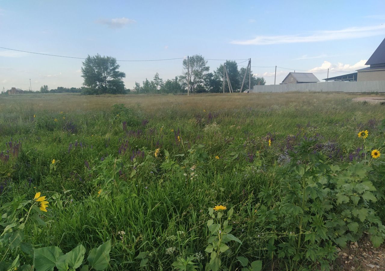 земля р-н Оренбургский п Чистый ул Пригородная сельсовет, Оренбург, Экспериментальный фото 4