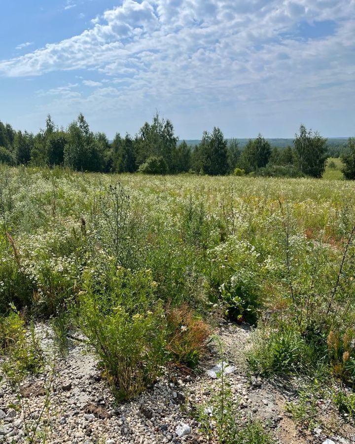 земля р-н Богородский с Афанасьево ул Полевая Богородск фото 1