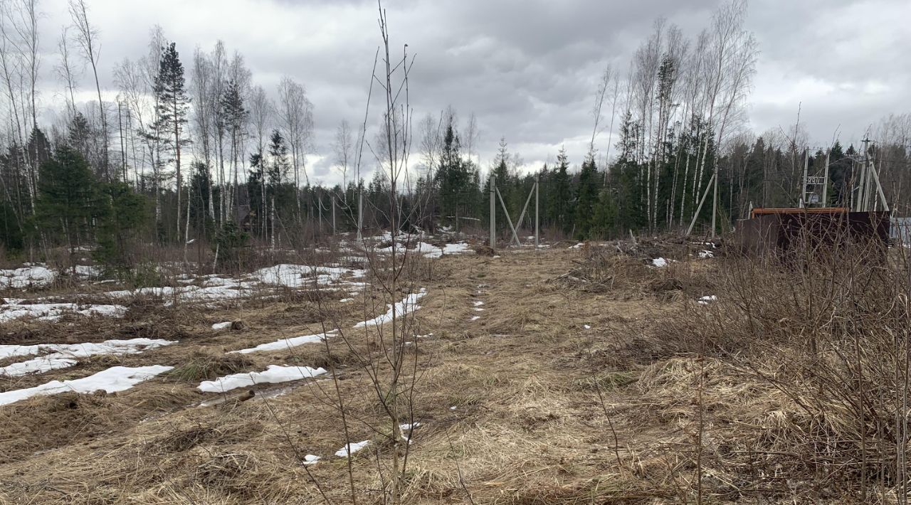 офис городской округ Пушкинский д Могильцы фото 7