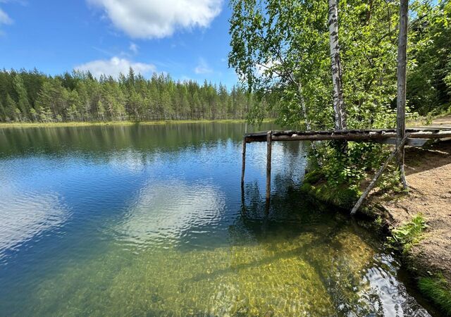 р-н Пряжинский снт Малая Суна СОТ Эссойльское сельское поселение, Пряжа фото