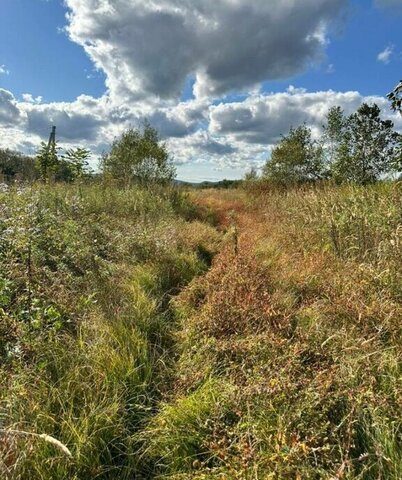 с Ясное Артёмовский городской округ, улица Зорге-2 фото