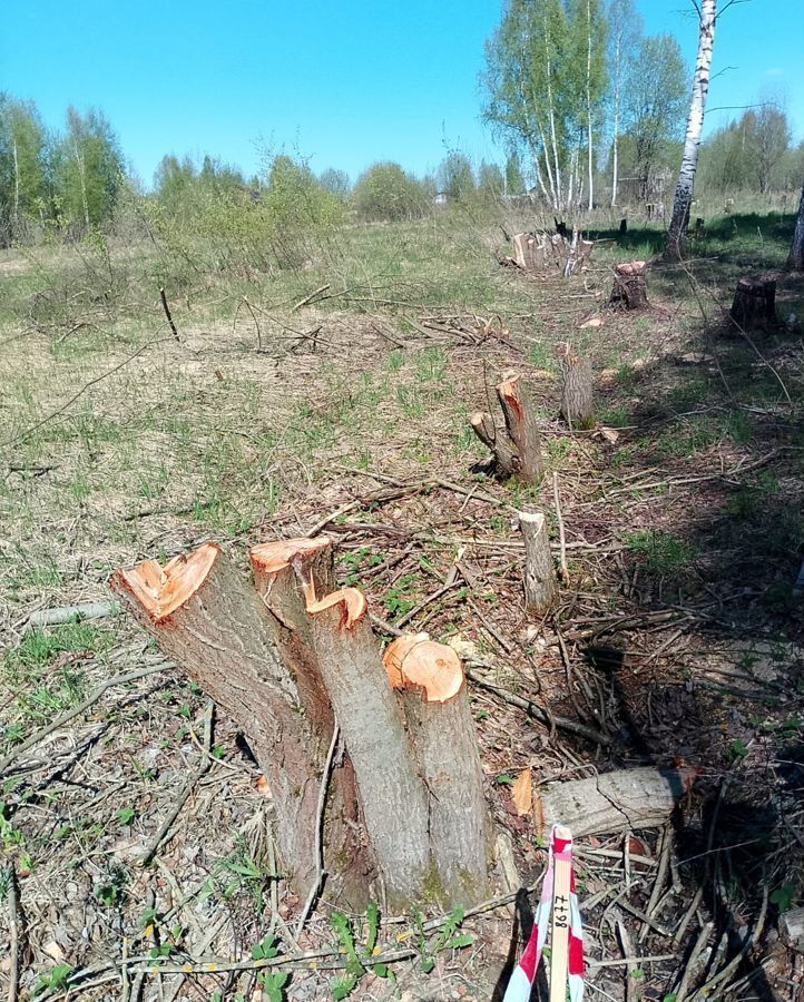 земля р-н Ярославский д Лобаниха Заволжское сельское поселение, Ярославль фото 3