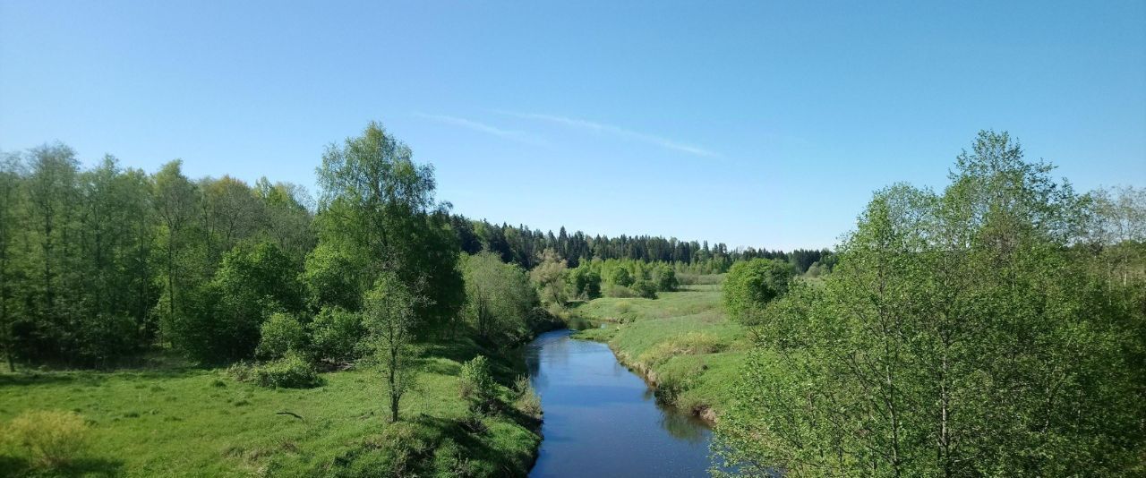 земля городской округ Шаховская д Кобылино фото 27