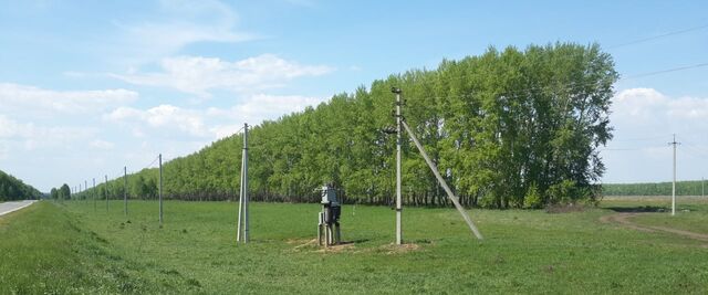 Улыбинский сельсовет фото