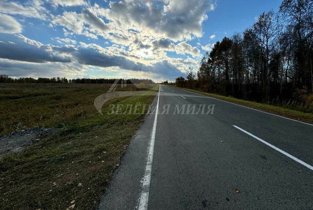 земля р-н Тюменский с Аманадское фото 4