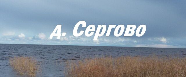 р-н Новгородский д Сергово Борковское с пос фото