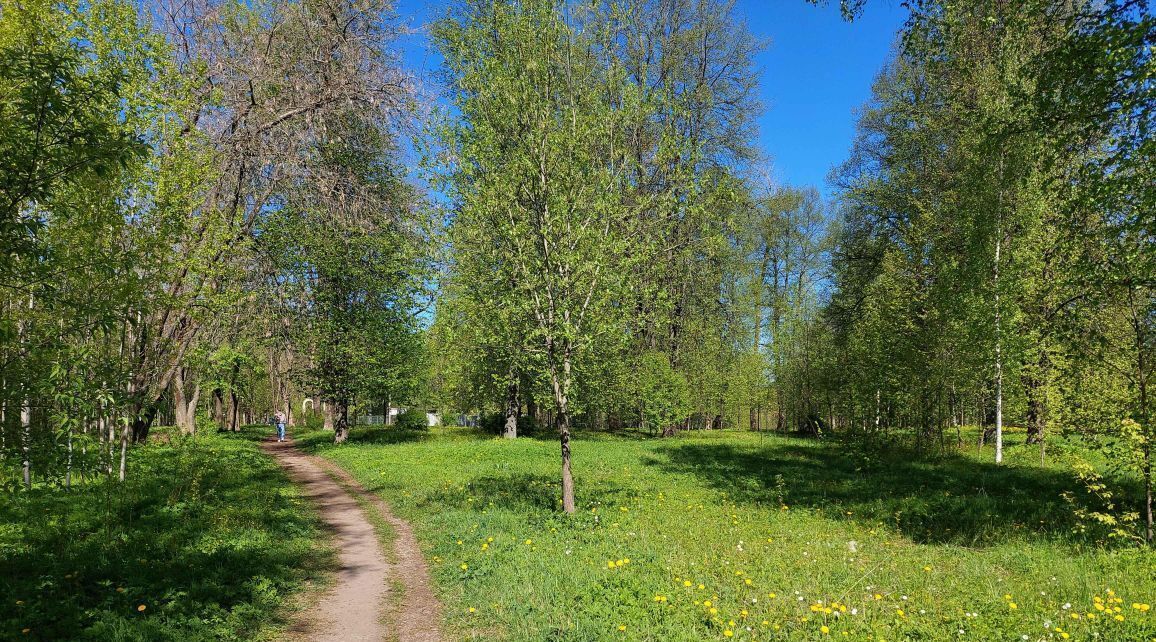 квартира г Рыбинск р-н Южный ул Софьи Перовской 1 п р фото 9