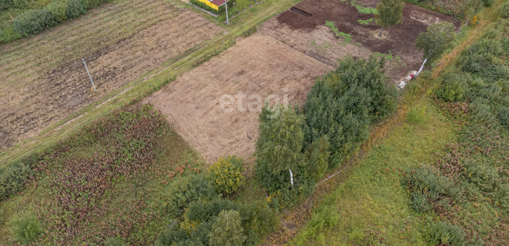 земля г Тюмень снт Светлое фото 4