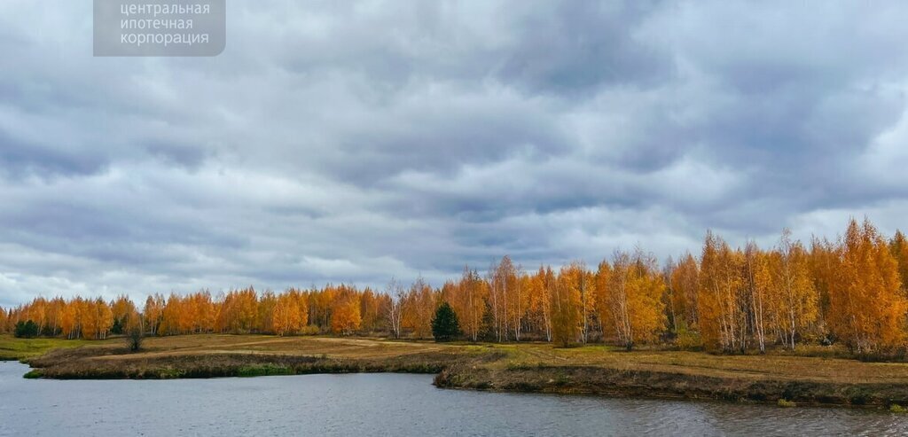 дом р-н Рязанский с Глебово Вышгородское сельское поселение фото 7