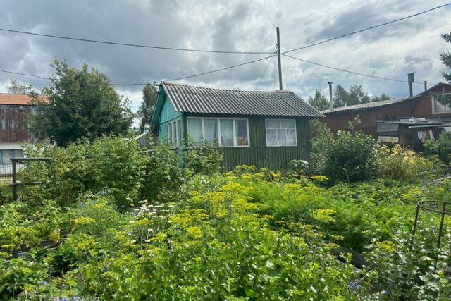 городской округ Верхняя Пышма, СНТ Ромашка фото