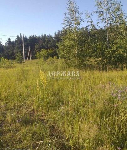 г Старый Оскол мкр Центральный Старооскольский городской округ фото