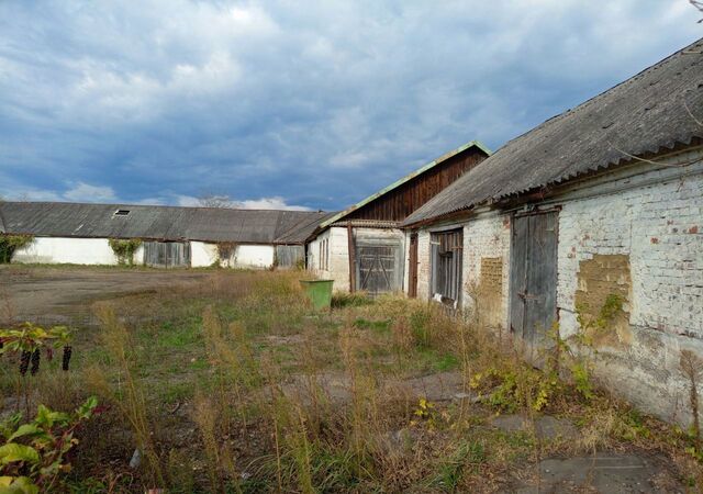 с Великовечное ул Комсомольская Великовечненское сельское поселение фото