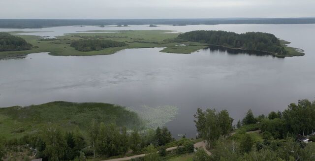 земля р-н Выборгский п Барышево ул Центральная Трасса Сортавала, 9800 км, Гончаровское сельское поселение, Красносельское фото