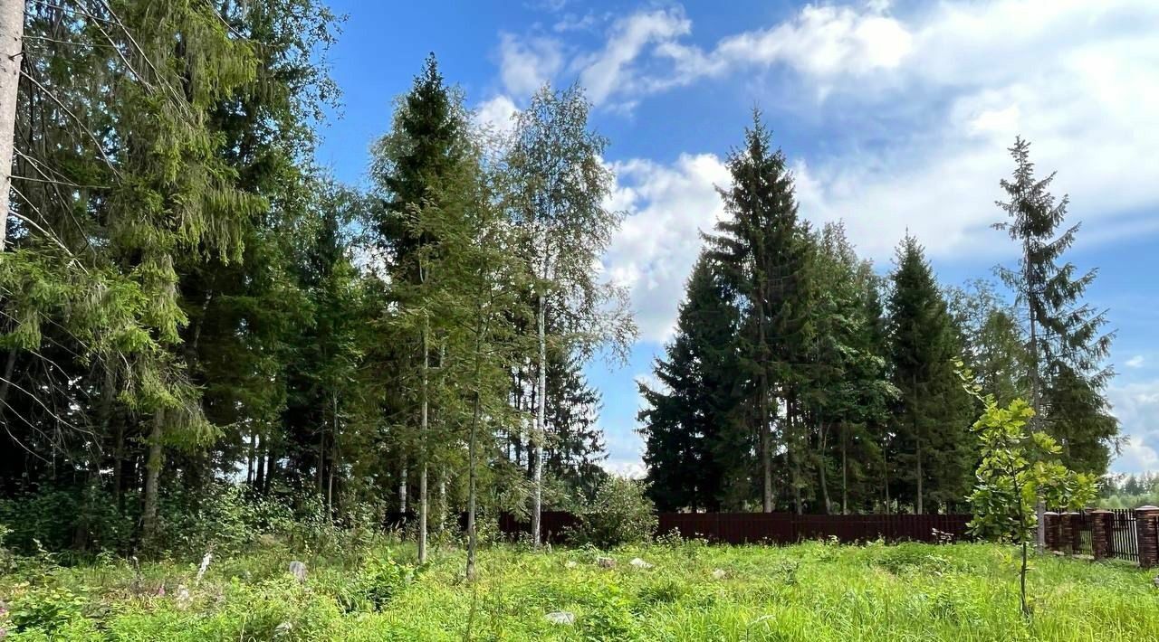 земля городской округ Рузский Эмеральд Вилладж кп, ул. Львиное Сердце фото 2