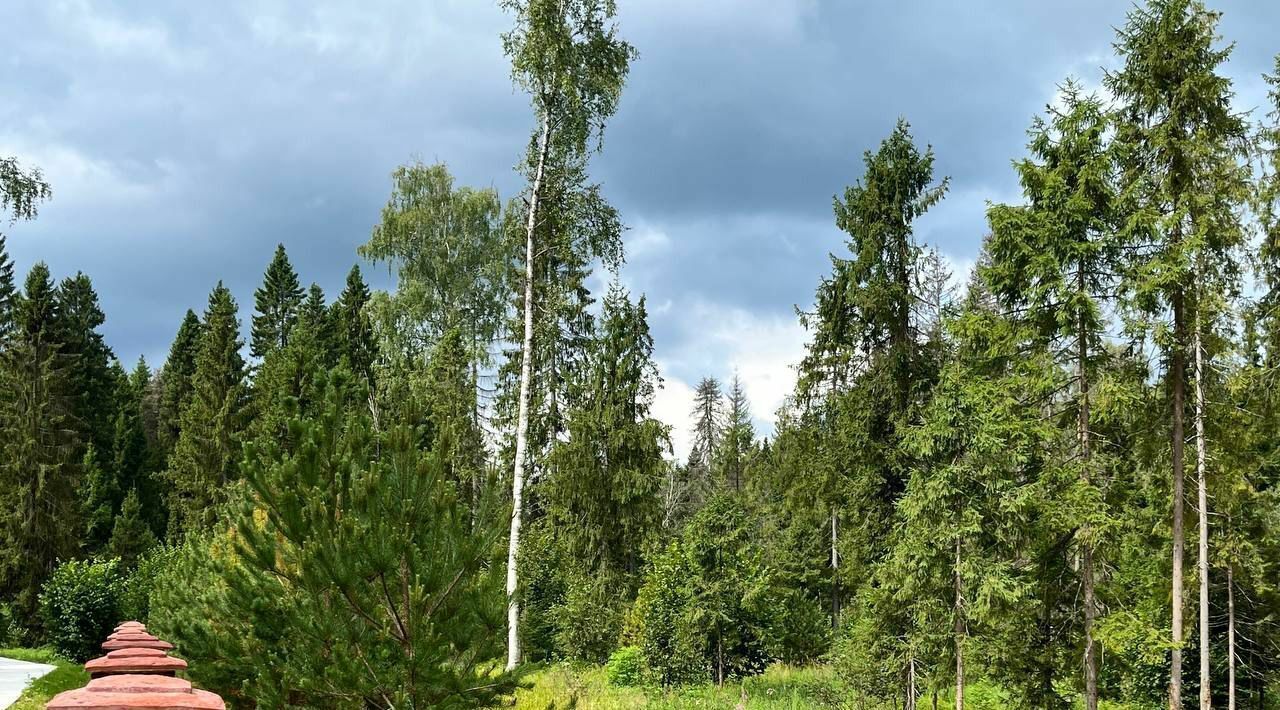 земля городской округ Рузский Эмеральд Вилладж кп, ул. Львиное Сердце фото 5