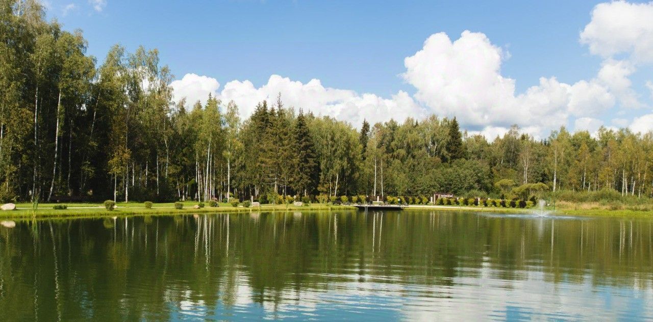 земля городской округ Рузский Эмеральд Вилладж кп, ул. Львиное Сердце фото 18