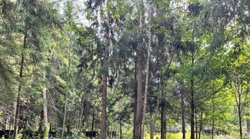 земля городской округ Рузский Эмеральд Вилладж кп, ул. Львиное Сердце фото 7