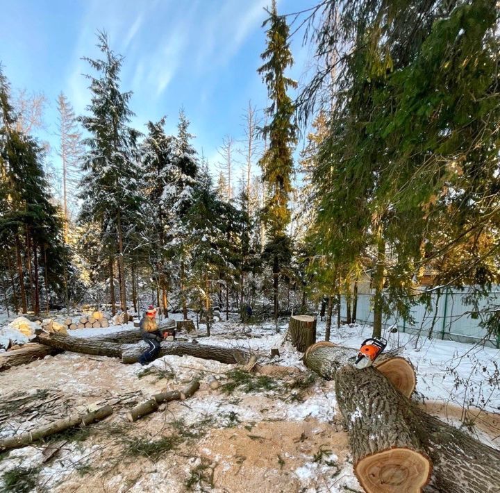 земля г Химки Дачной застройки Кранкино кв-л, Зеленоград — Крюково, ул. Светлая, 16 фото 16