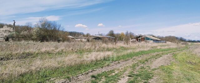 р-н Тахтамукайский аул Тахтамукай аул фото