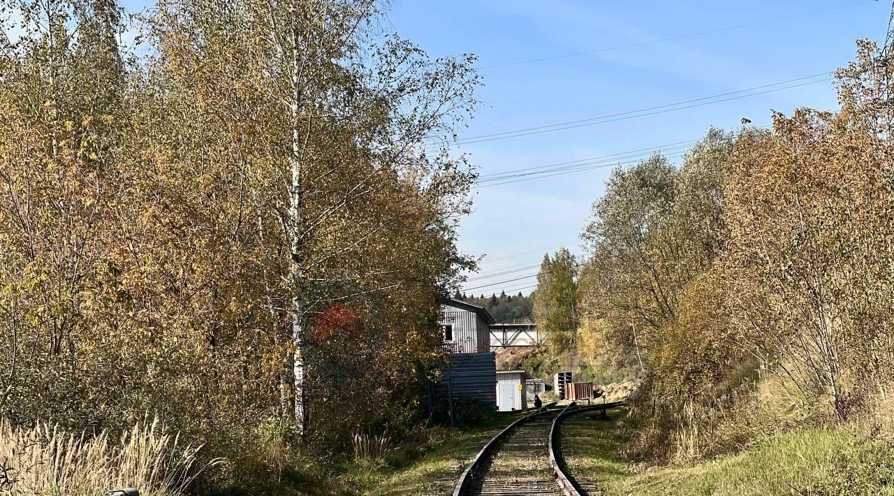 производственные, складские городской округ Дмитровский рп Икша ул Технологическая 3 фото 2