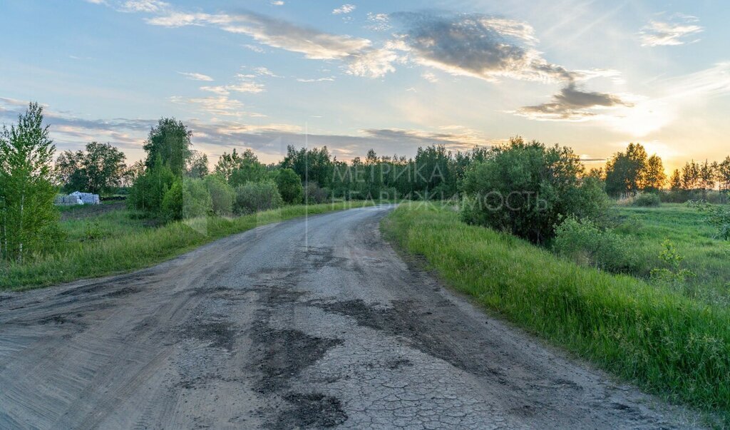 земля г Тюмень снт Царево ул Ромашковая фото 4