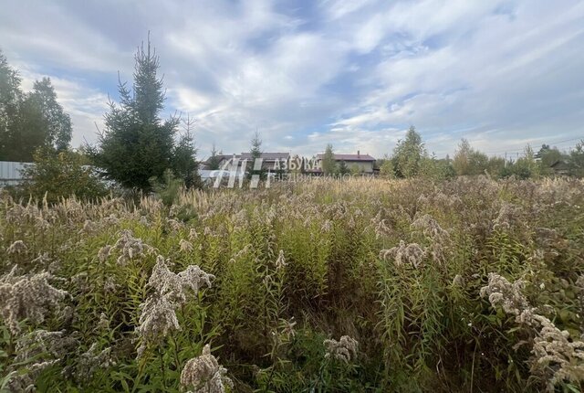 Зеленоград — Крюково, застройки Кранкино, городской округ Химки фото