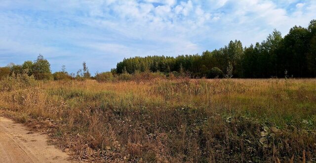 г Великий Новгород Северный фото