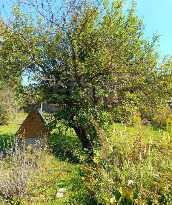 земля г Истра садовое товарищество Дарьин Луг фото 3