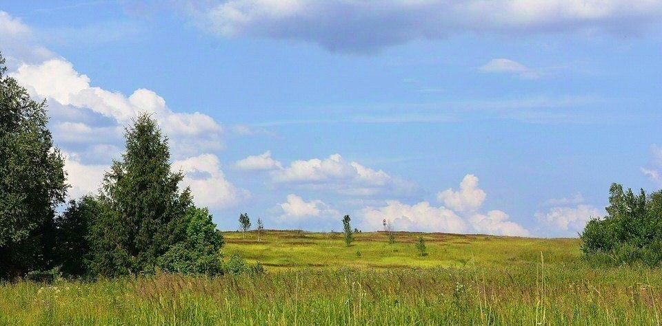 земля городской округ Клин д Коськово фото 1