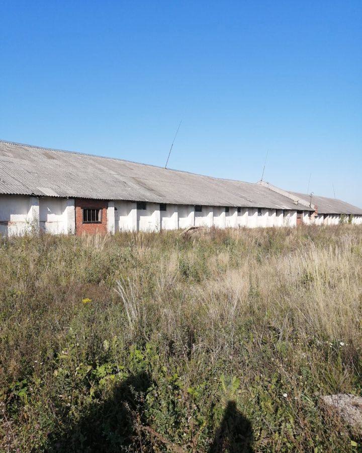 офис р-н Чудовский г Чудово ул Майская 3 городское поселение город Чудово фото 1