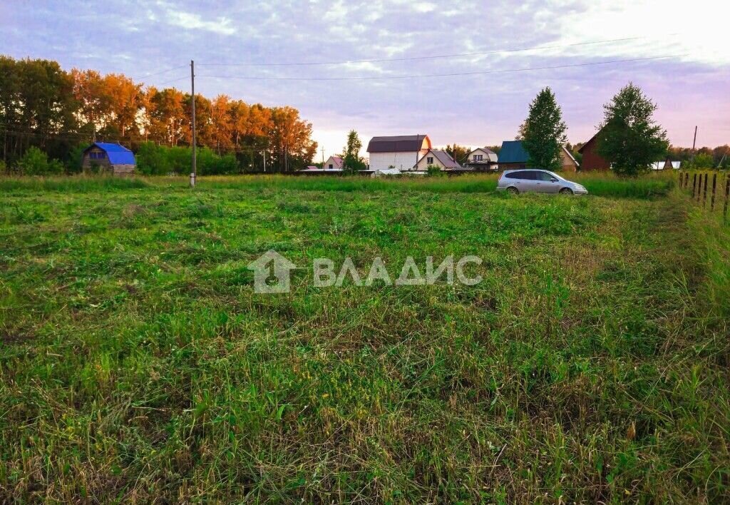 земля р-н Новосибирский снт Рябина Морской сельсовет, 135, Верх-Тула фото 3