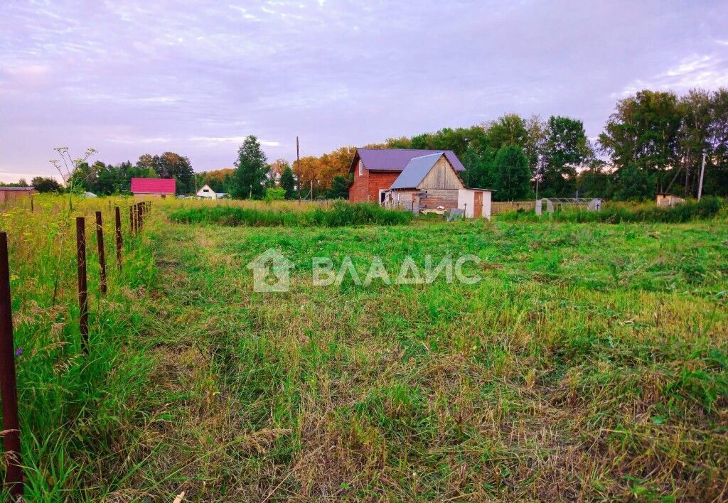 земля р-н Новосибирский снт Рябина Морской сельсовет, 135, Верх-Тула фото 8