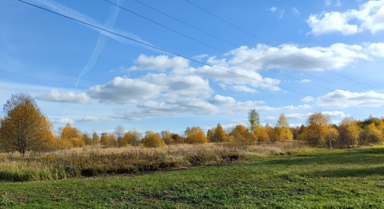 земля городской округ Истра д Ядромино 51 км, г. о. Истра, Глебовский, Волоколамское шоссе фото 25