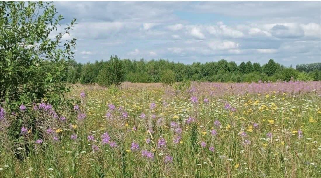 земля р-н Пригородный п Висим ул Первомайская фото 1