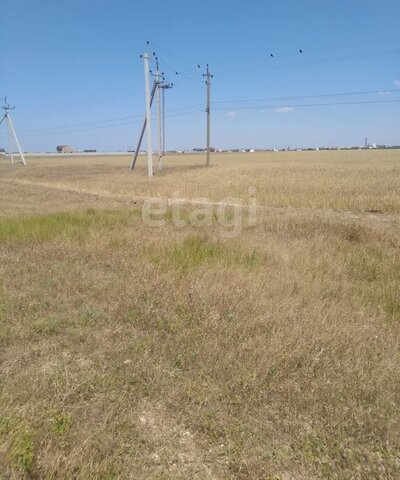 садоводческое товарищество Сосновый Бор, Центральная улица фото