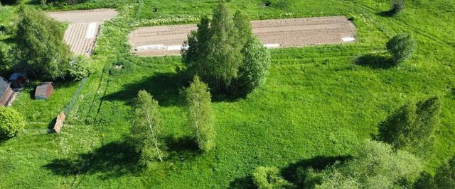 городской округ Волоколамский д Житино фото