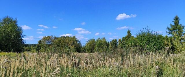 городской округ Раменский п Ремзавода фото