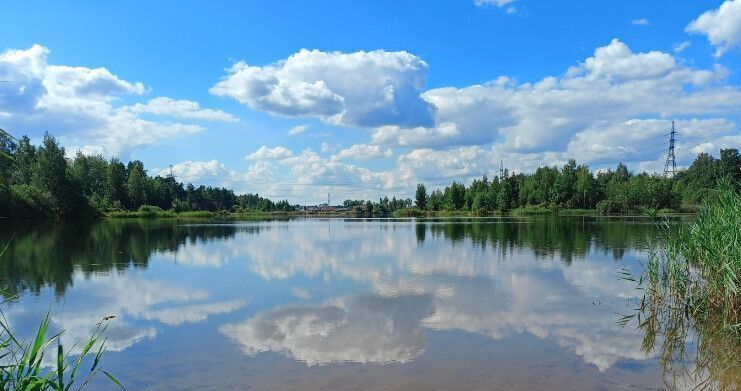 земля р-н Кировский п Павлово Московское шоссе, 9745 км, городской пос. Павлово, Павловское городское поселение фото 15