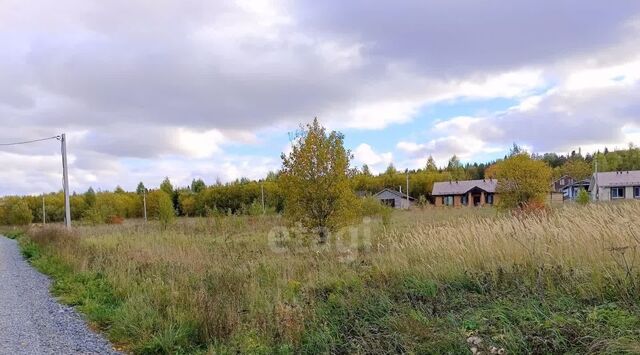 земля г Ижевск р-н Ленинский пер Дубовый фото