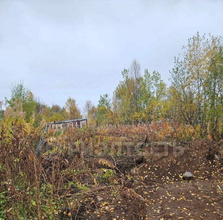 земля р-н Кольский нп Шонгуй Кильдинстрой городское поселение фото 5